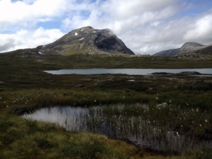 Kolbeinsvatnet-Hamsedalen-5