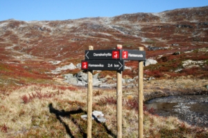 Hamserunda. Foto: E Erstad