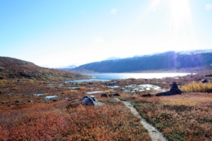 Hamserunda. Foto: E Erstad